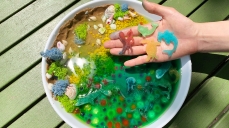 말랑말랑 바다 이야기