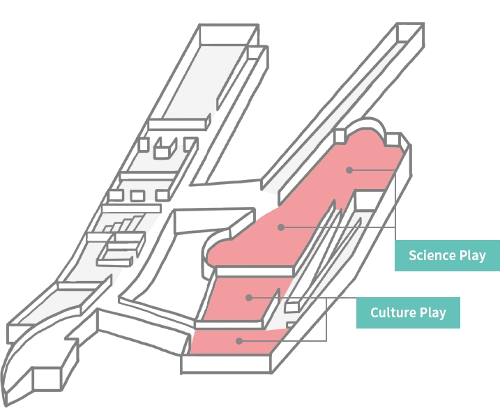 과학놀이, 문화놀이